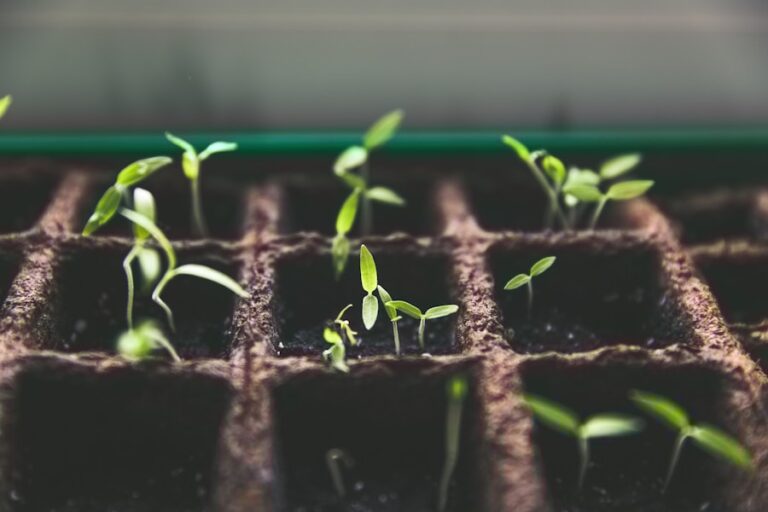 Investimentos com Propósito: Entenda o Impacto dos Investimentos ESG na Sociedade